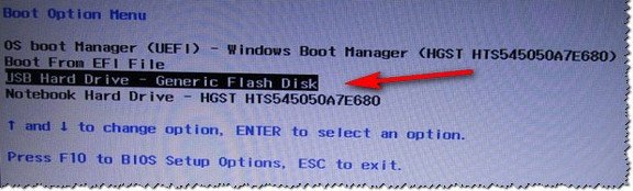 Пример Boot Menu - ноутбук HP (Boot Option Menu).