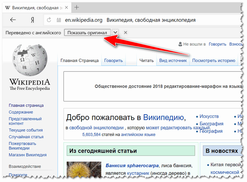 Как в тор браузере перевести страницу на русский язык tor web browser for mac hydra