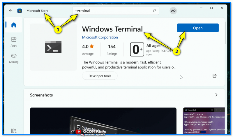Microsoft Store — Windows Terminal — Open — Windows 11