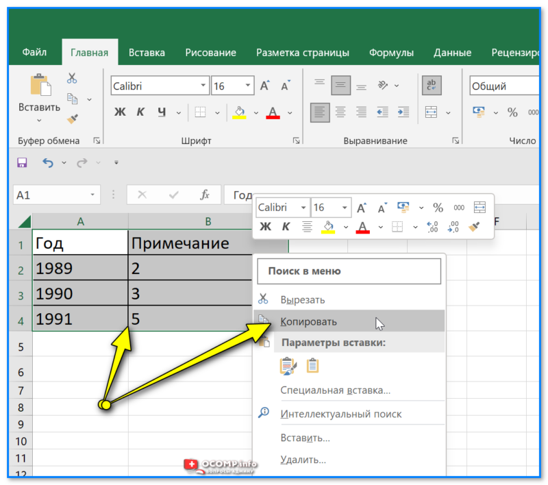 img-Kopirovat-tablitsu-Excel.png