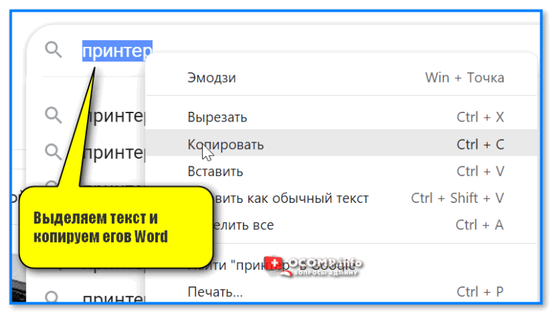 img-Vyidelyaem-tekst-i-kopiruem-egov-Word.png